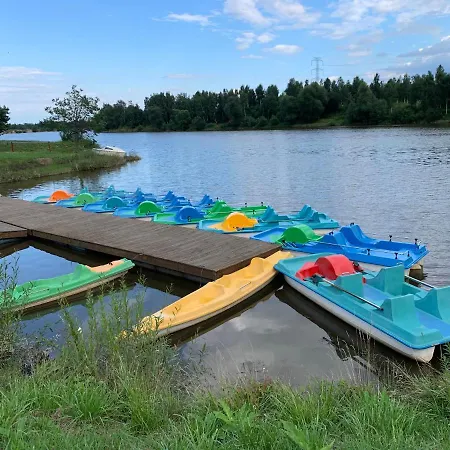 Różowy *