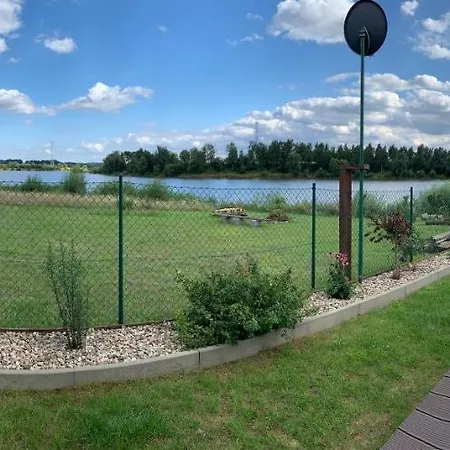 Różowy *