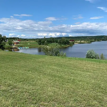 Różowy *