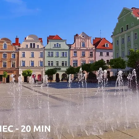 Różowy *